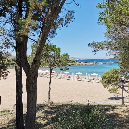 Tea Costa Smeralda - *