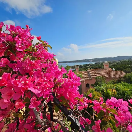 Tea Costa Smeralda - 펜션 *