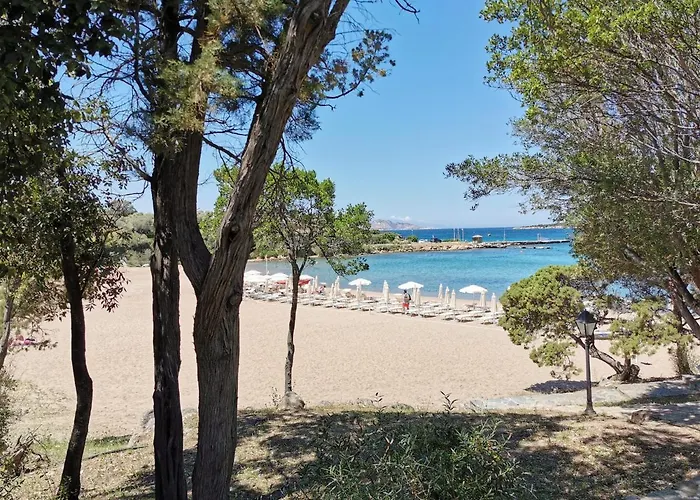 Tea Costa Smeralda - *