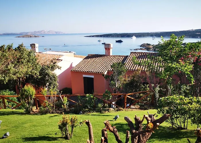 Tea Costa Smeralda - *