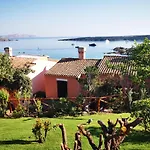 Tea Costa Smeralda - *