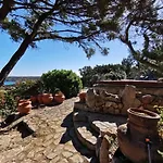 Tea Costa Smeralda - Porto Cervo